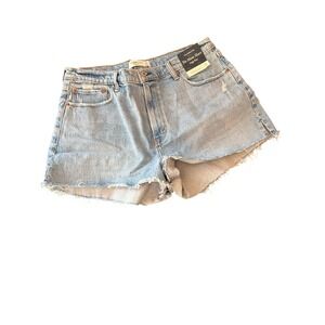 Abercrombie & Fitch Curve Love Blue Jean Shorts